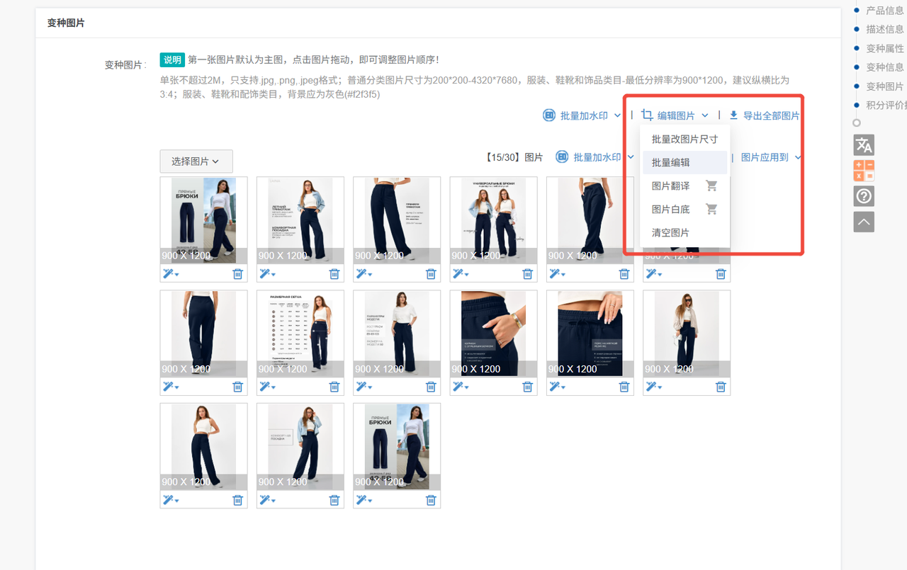 用店小秘ERP实现ozon批量上货