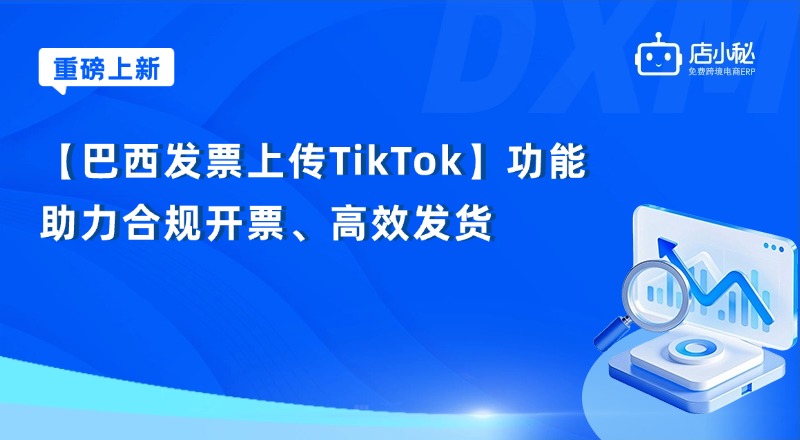 巴西发票