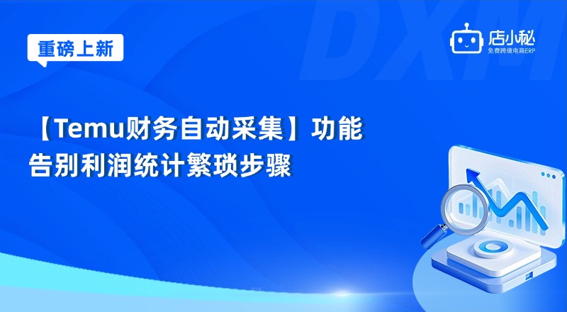 temu利润统计