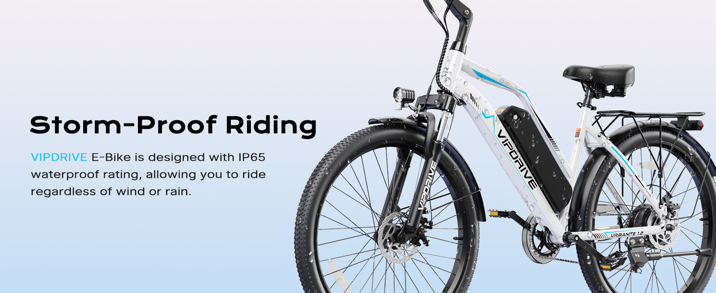 Freedom City Freedom Assist Electric Bike Freedom Folding E-bike