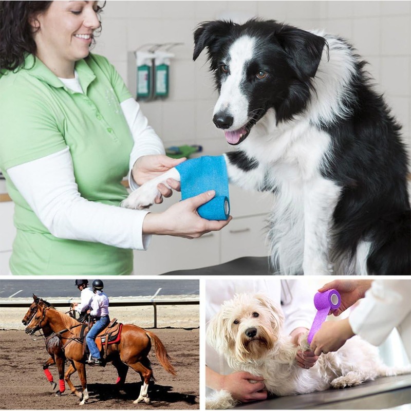 Veterinarian & Trainer Approved