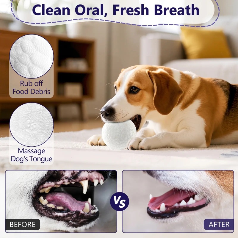 Supports Dental Health