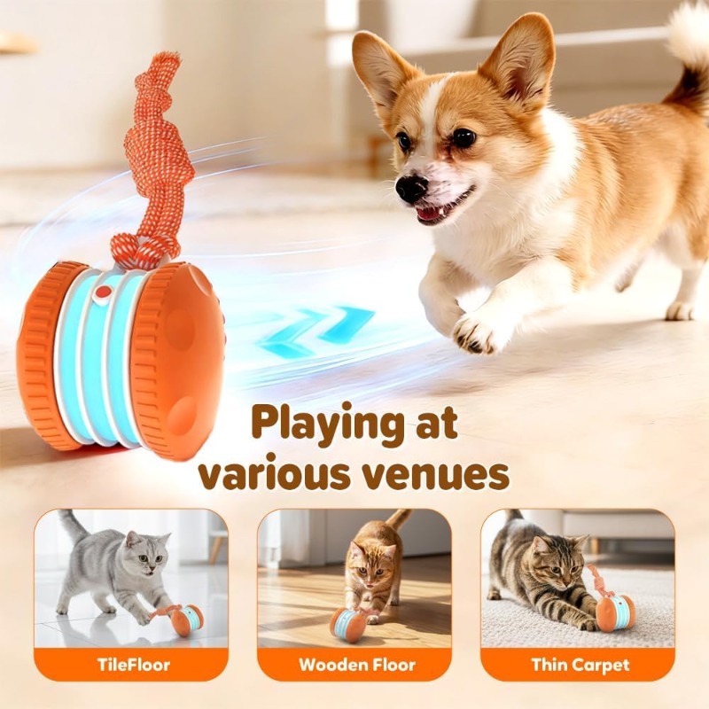 Smart Motion-Activated Play