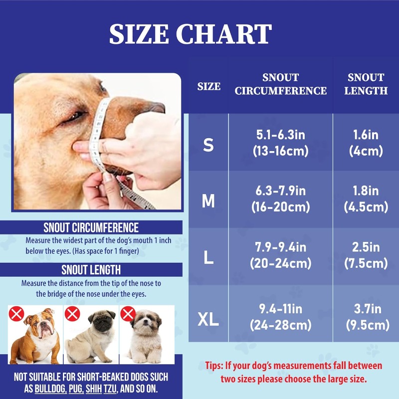How to measure dog snout