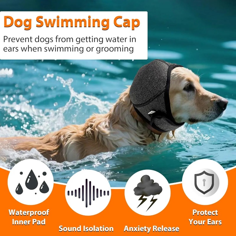 Waterproof Shield