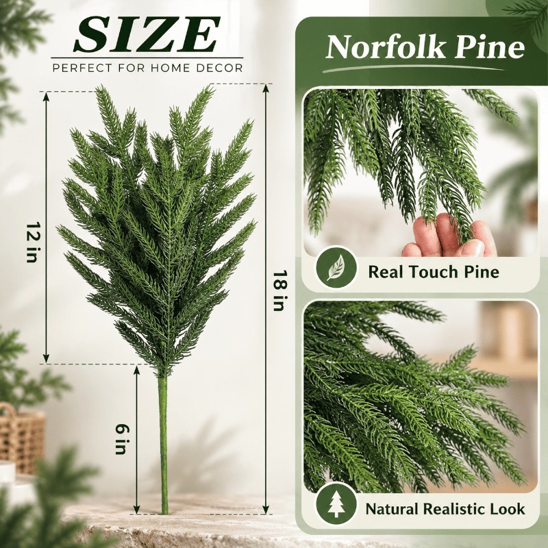 Close-up of the Norfolk pine stem shape and foliage