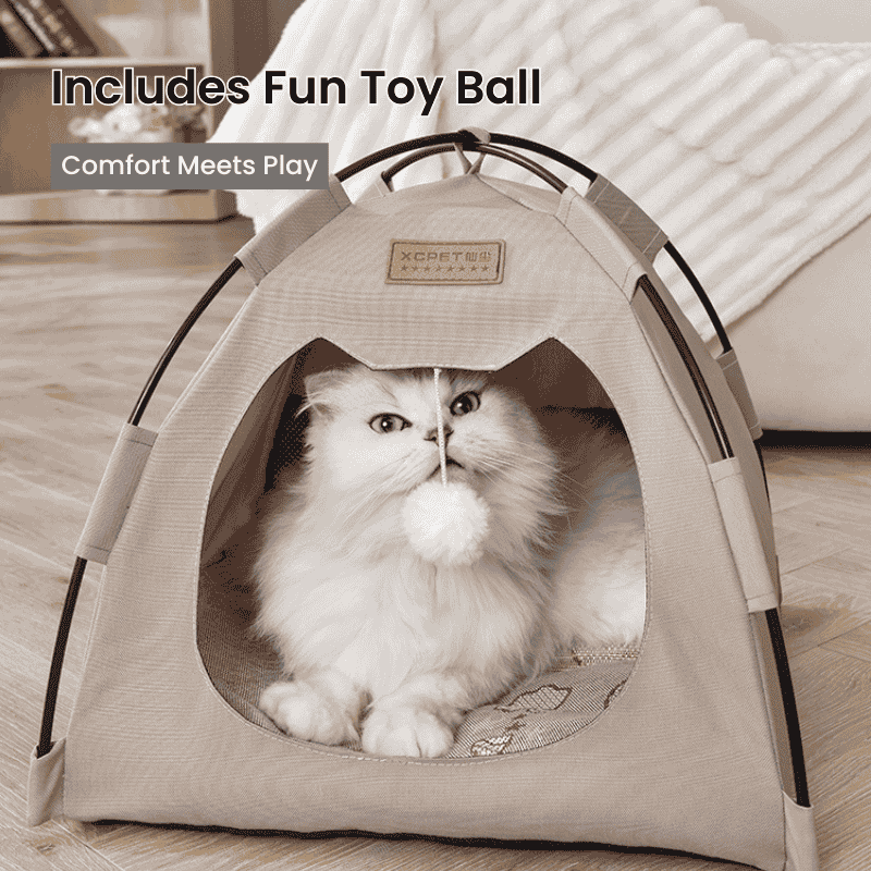 Cat tent bed with toy ball for playful cats