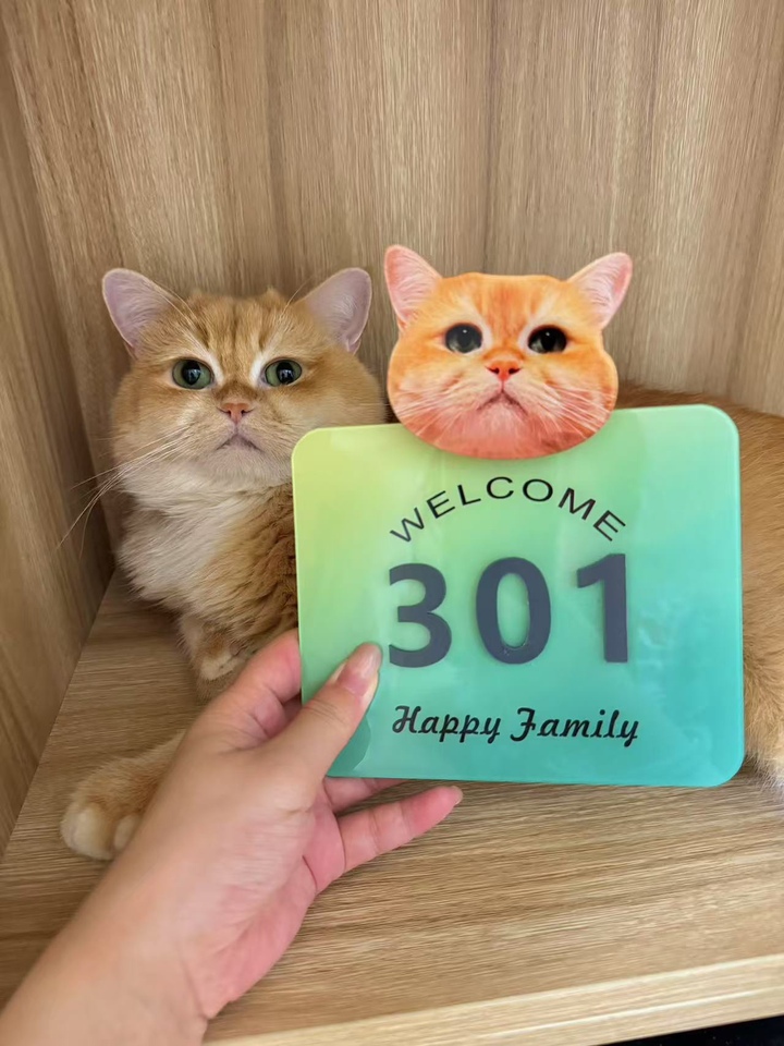 Personalized house number plate with pet photo