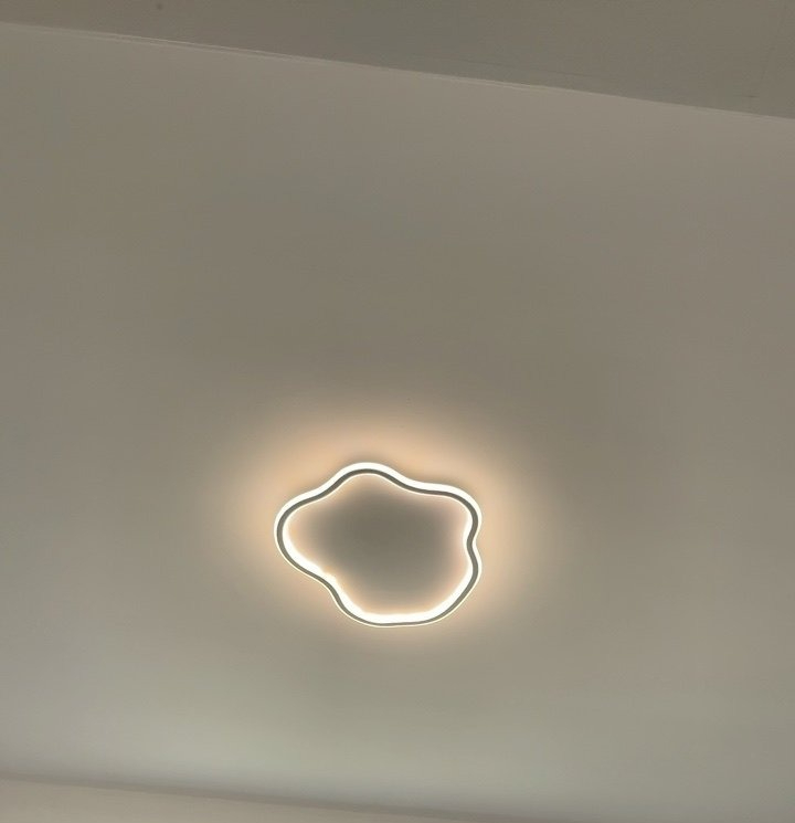 Modern Bedroom Ceiling Light Led Lamp For Minimalist Interior_voghion.com