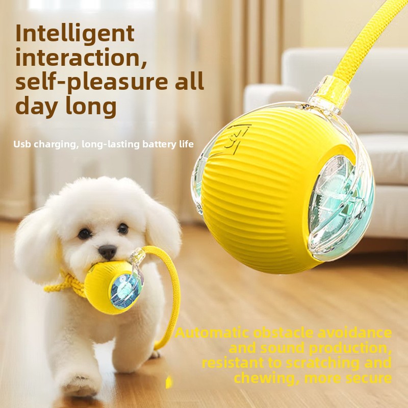 Automatic Dog Walking Artifact For Dogs, Bite-resistant, Self-healing And Relieving Boredom, Electric Pet Small Toy, Smart Puppy Jumping Ball_voghion.com