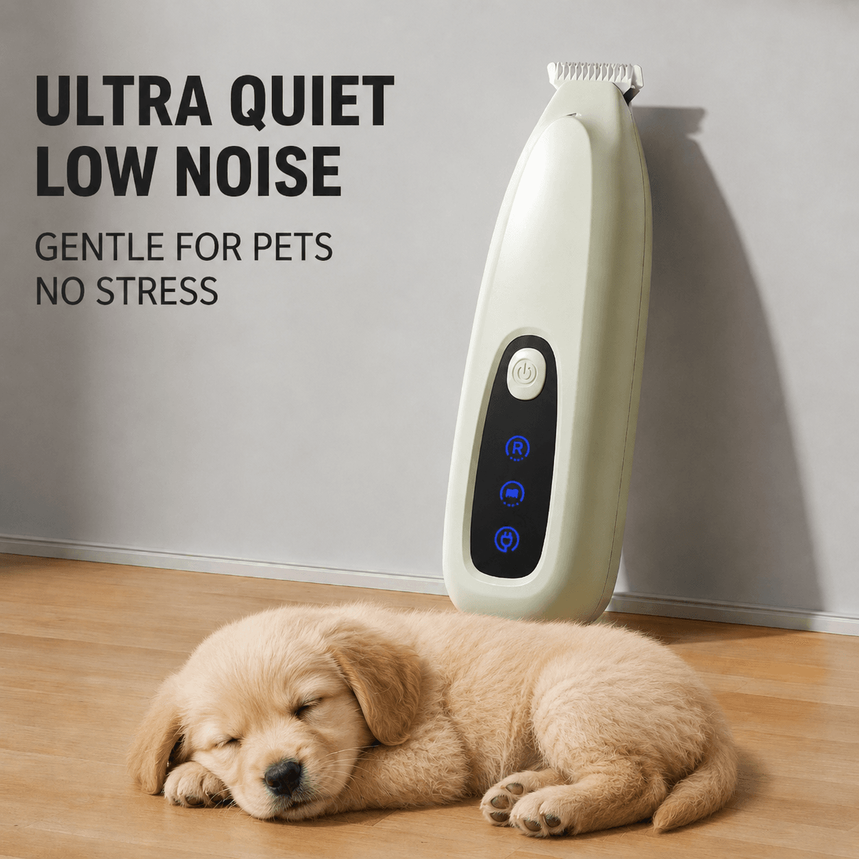 Quiet motor for anxious dogs
