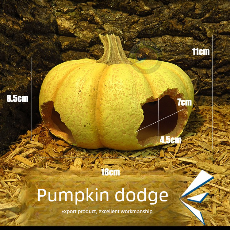 Pumpkin.