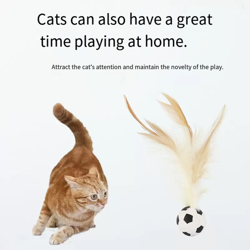 Cat Toy Bouncy Ball Feather Teaser Cat Stick Self-hi Boredom Relief Artifact Cat Chase Interactive Pet Toy_voghion.com