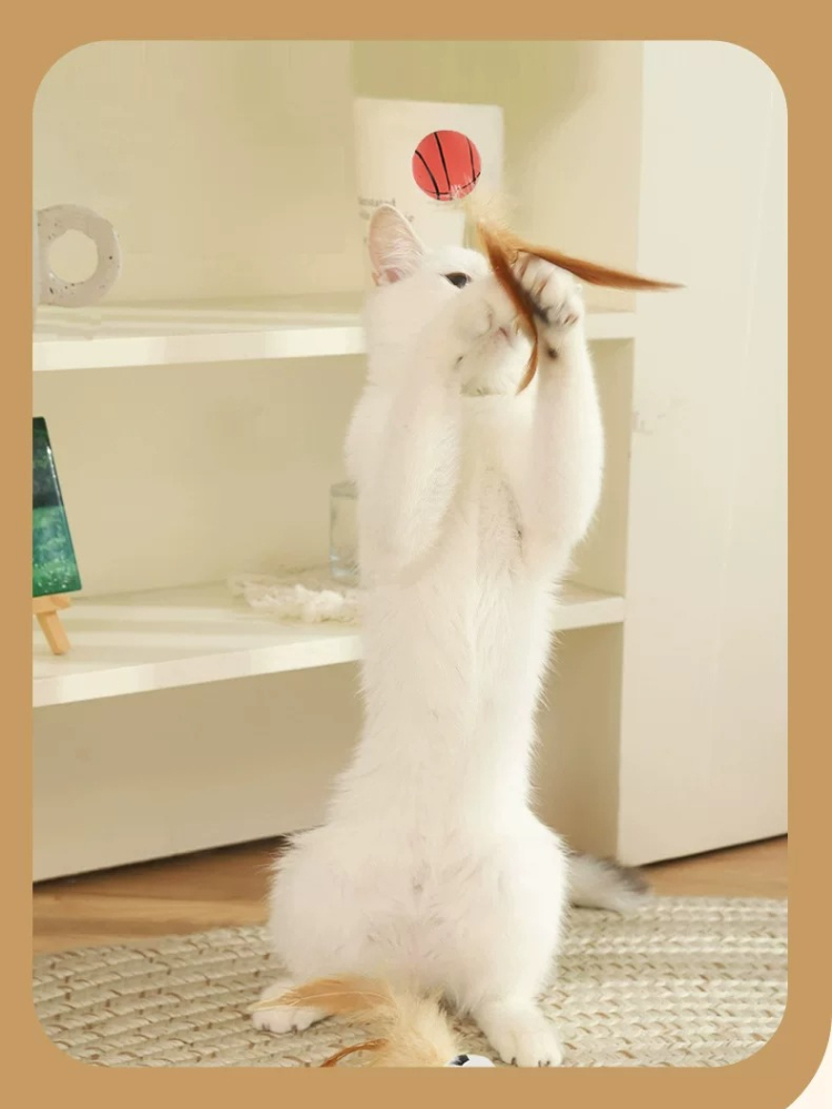 Interactive Cat Teaser Stick With Feather Bouncy Ball Pet Toy_voghion.com