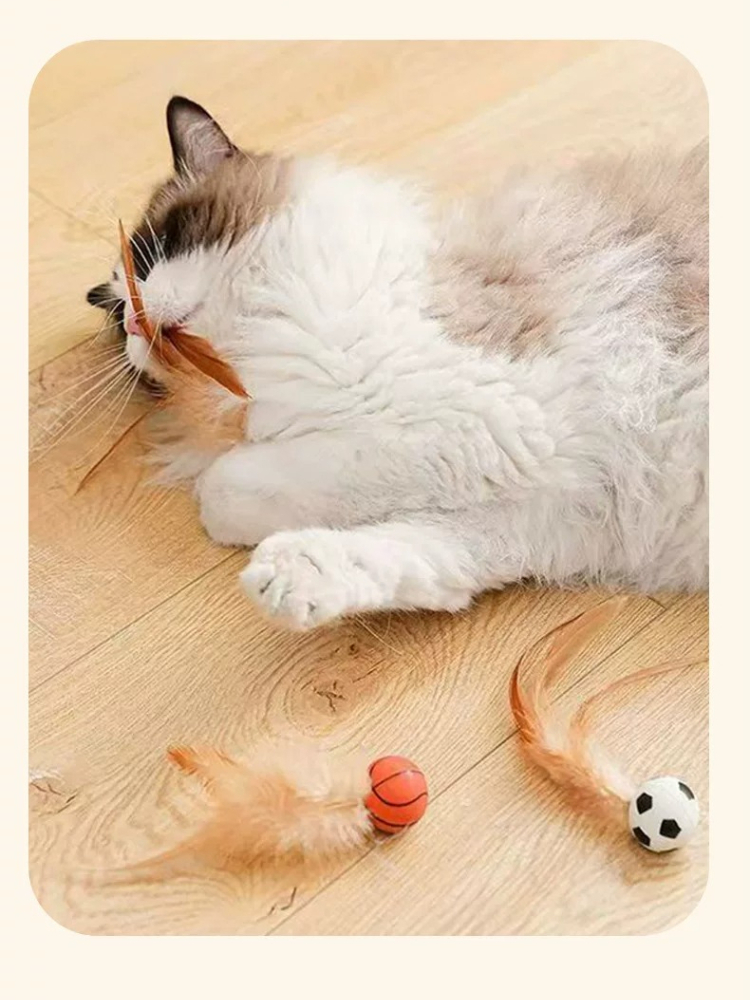 Interactive Cat Teaser Stick With Feather Bouncy Ball Pet Toy_voghion.com