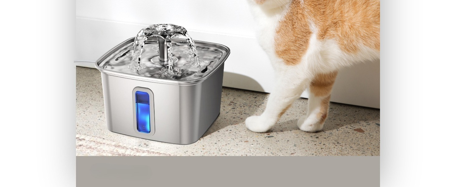 cat cat bowl cat it water fountain filters