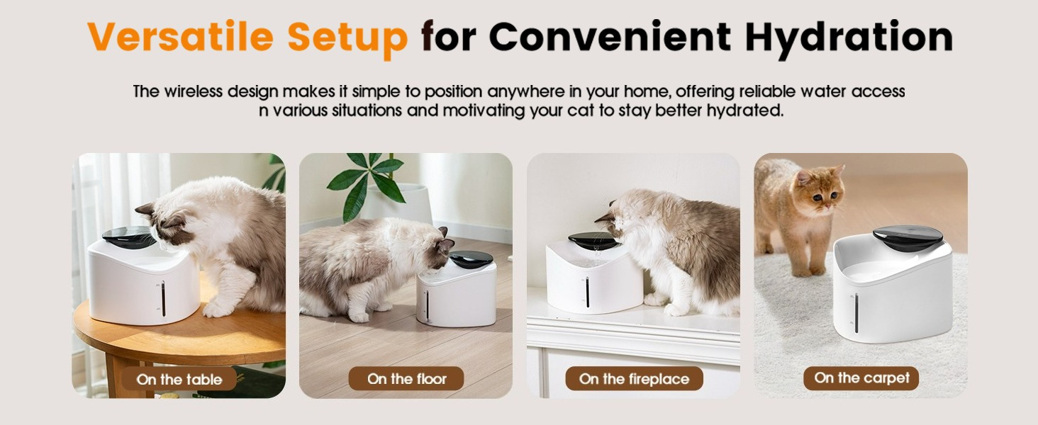 cat water fountain