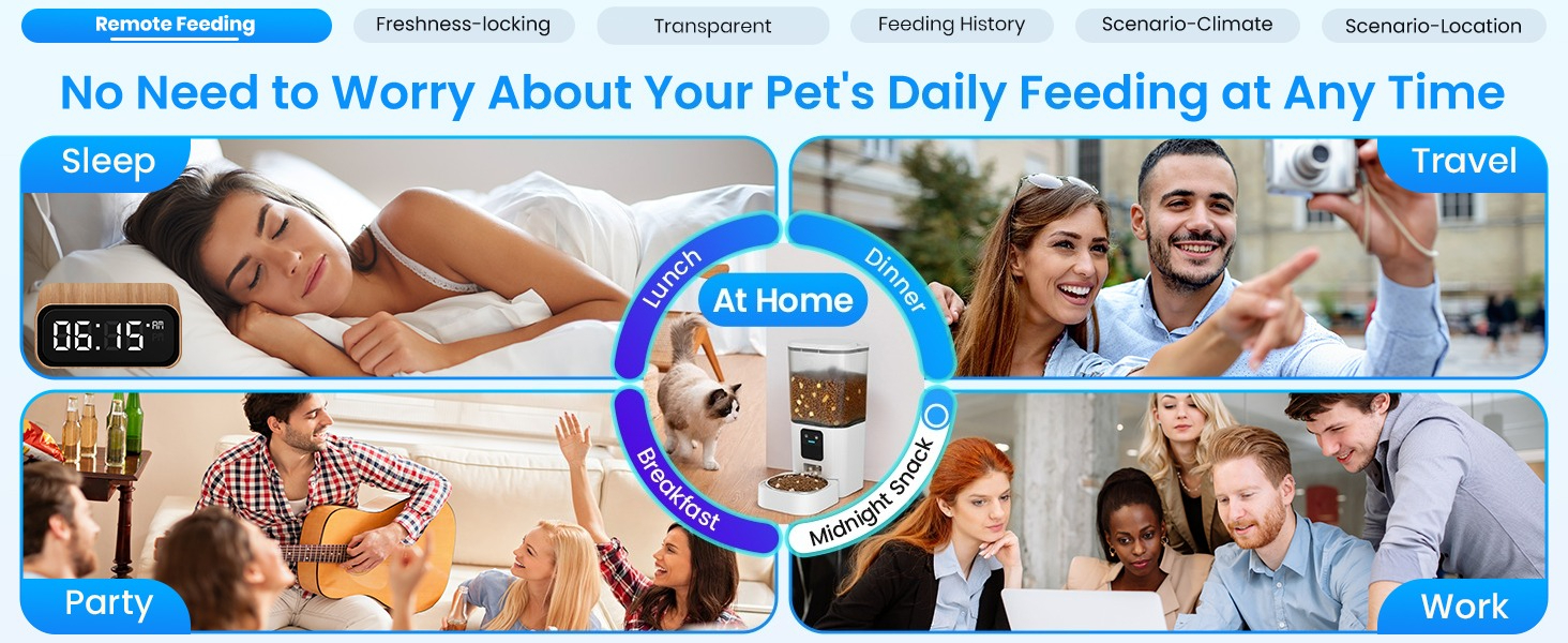 automatic cat feeder