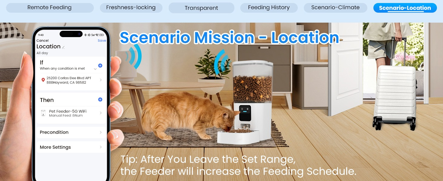 automatic cat feeder