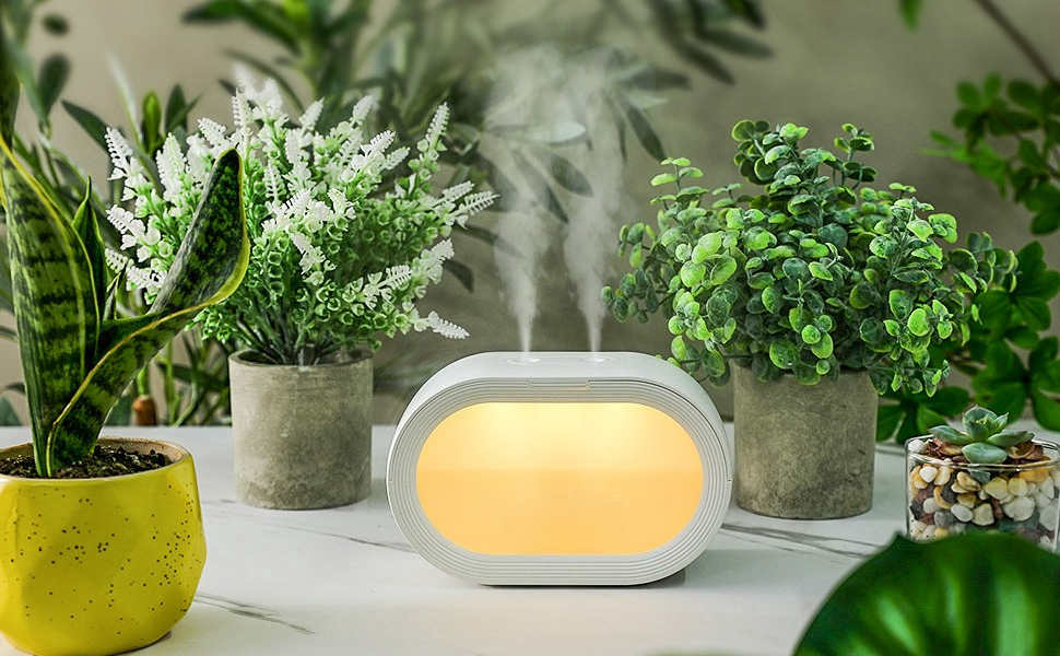 humidifier for plants