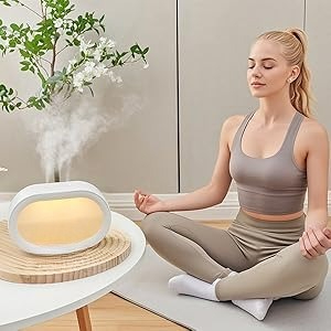 portable humidifier