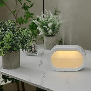 plant humidifier indoor
