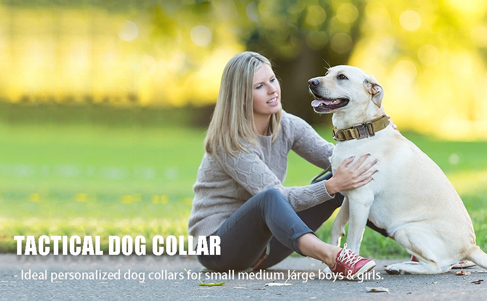 Adjustable Military Training Nylon Dog Collar with Control Handle for Medium and Large Dogs