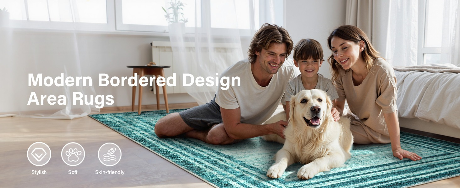 modern area rug