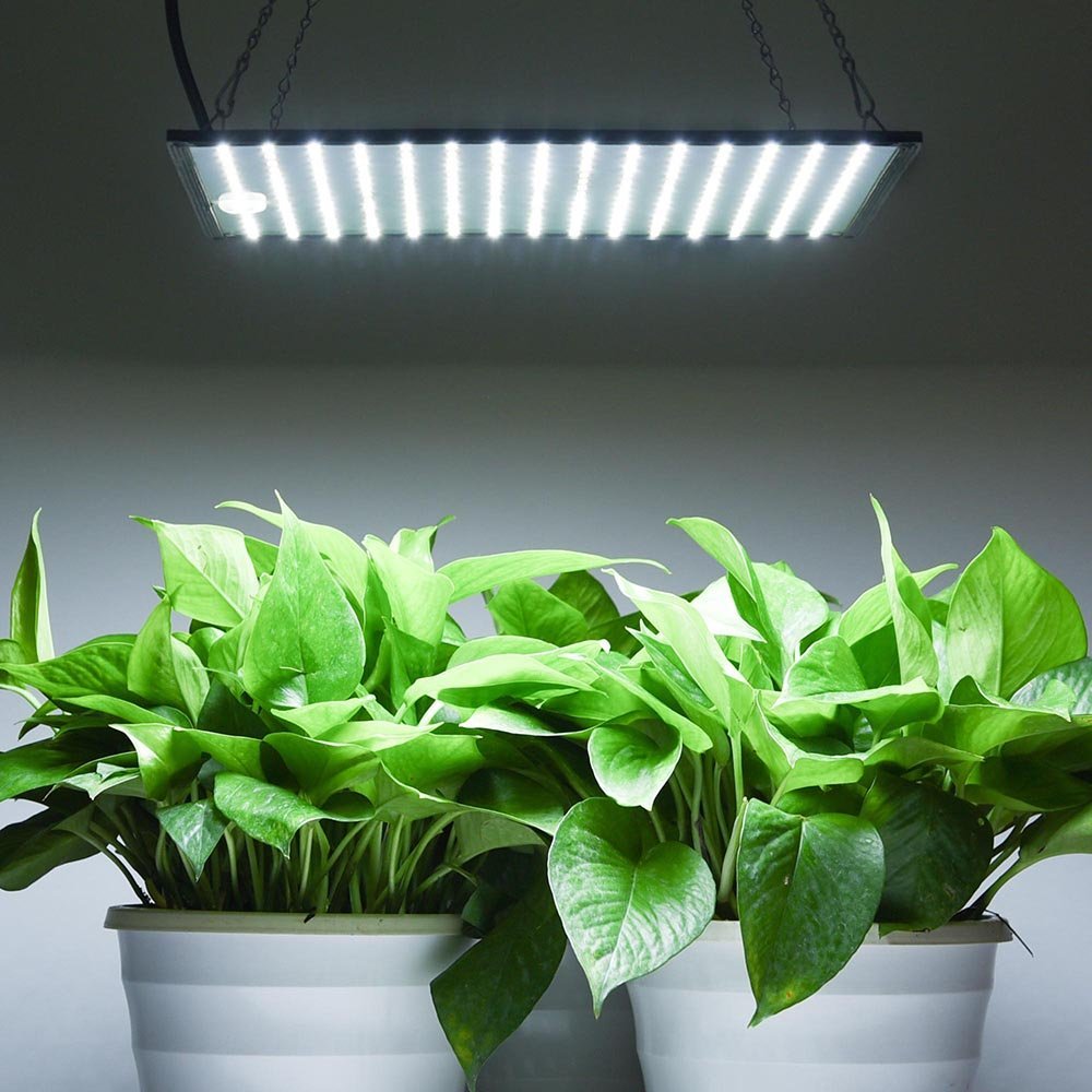 Hydroponic Lighting
